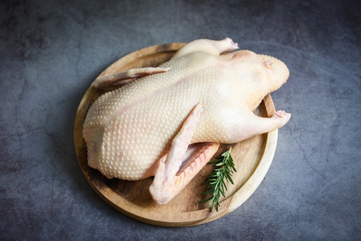[1236] Whole Duck 